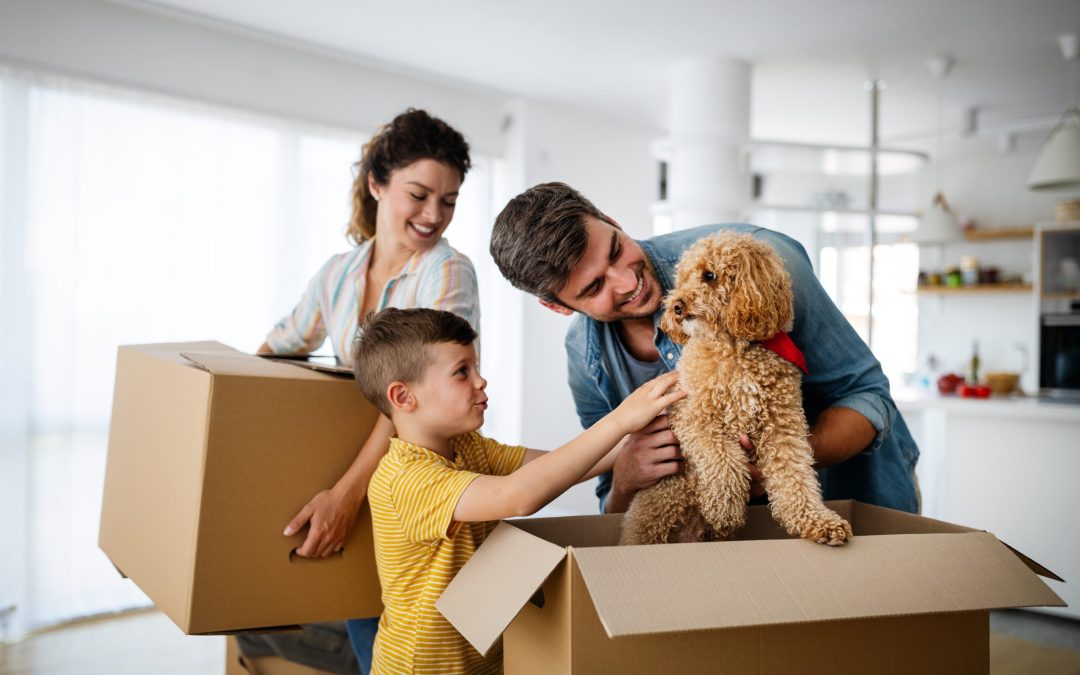 Husband And Wife And Their Son With Pet Moving In New Home.